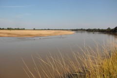 IMG_8196