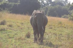 IMG_8203