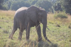 IMG_8205