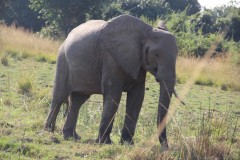 IMG_8206