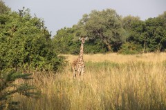 IMG_8210