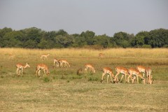 IMG_8218