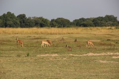 IMG_8219