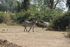 IMG_8265