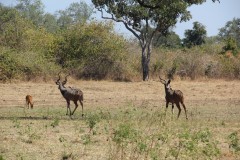 IMG_8272