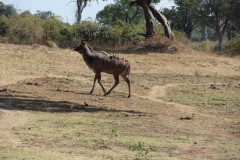 IMG_8273