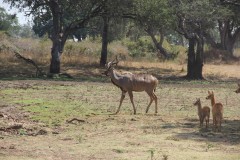 IMG_8275
