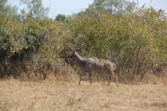 IMG_8277
