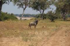 IMG_8278