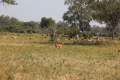 IMG_8280