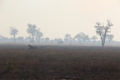 IMG_8305