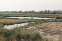 IMG_8314