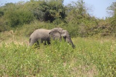 IMG_8322