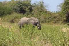 IMG_8325