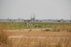 IMG_8326