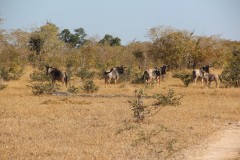 IMG_8365