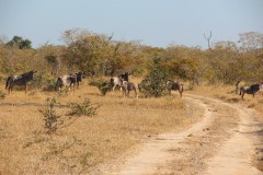IMG_8366