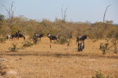 IMG_8367