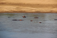 IMG_8376