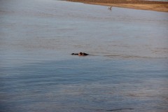 IMG_8381