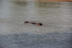 IMG_8382