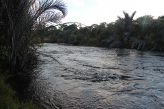 IMG_8389