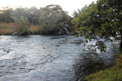 IMG_8390