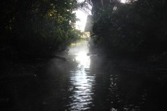 IMG_8394