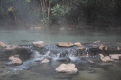 IMG_8395