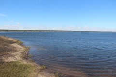 IMG_8428