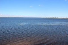 IMG_8429