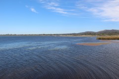 IMG_8432