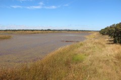 IMG_8441