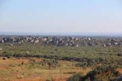 IMG_8468