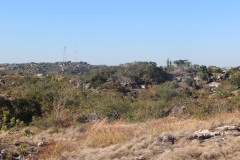 IMG_8469