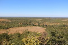 IMG_8490