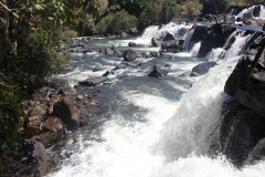 IMG_8508