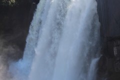 IMG_8531