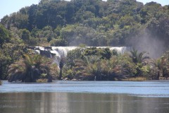 IMG_8540
