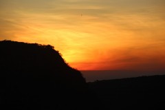 IMG_8554