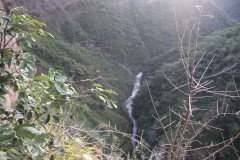IMG_8560