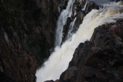 IMG_8566