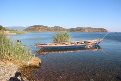 IMG_8578