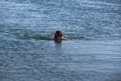 IMG_8585