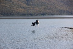 IMG_8608