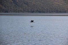 IMG_8609
