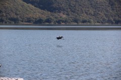 IMG_8610