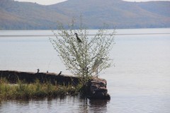 IMG_8611