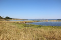 IMG_8612-Sumbu-NP-Lake-Tanganyika-Kasaba-Bay