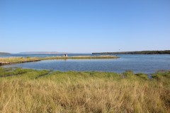 IMG_8613
